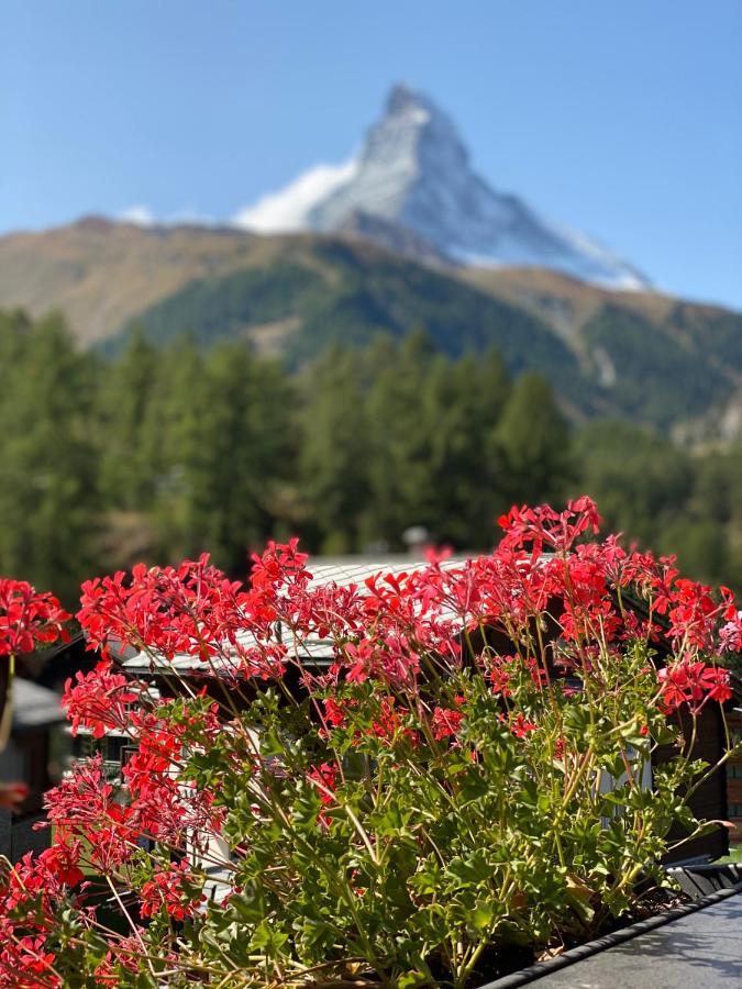 Chalet Bull Zermatt Zewnętrze zdjęcie